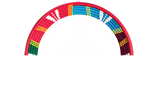 Dashen Bank Logo